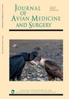 Journal Of Avian Medicine And Surgery