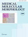 Medical Molecular Morphology