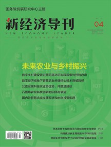 新经济导刊