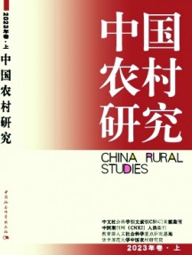 中国农村研究